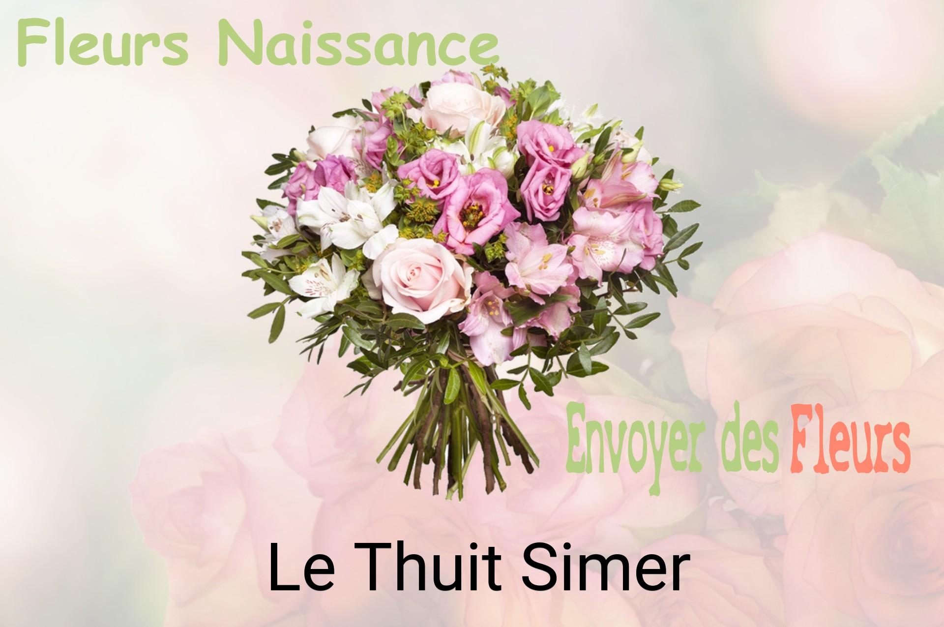 Bouquet de fleurs de naissance livré à Le Thuit-Simer
